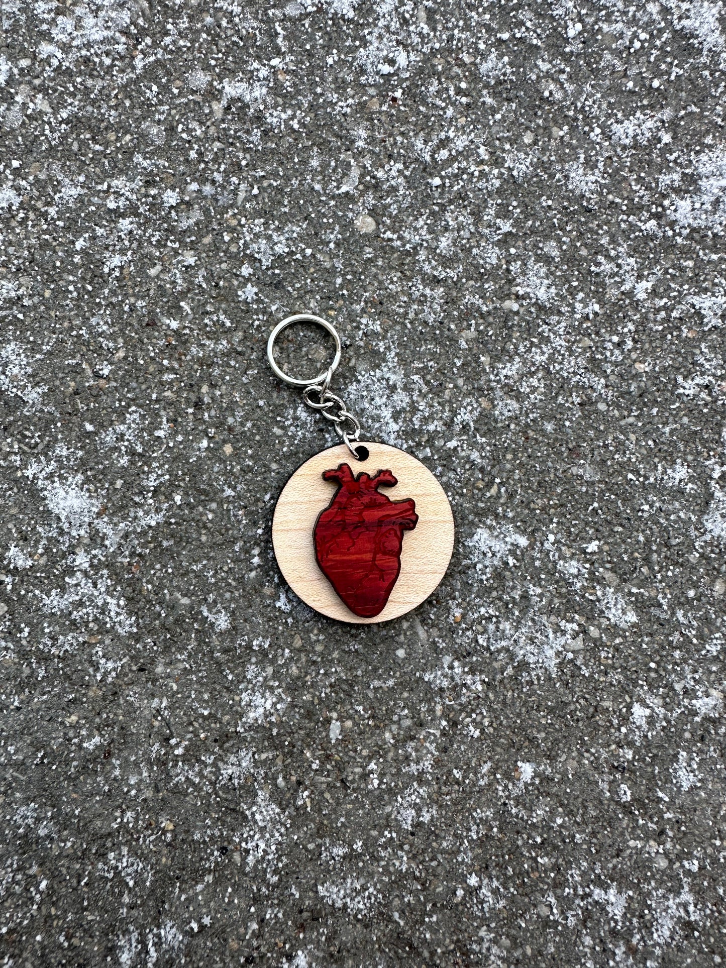 anatomical heart keychain