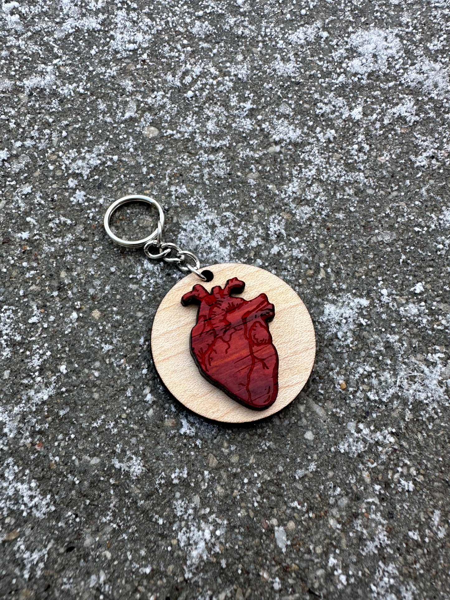 anatomical heart keychain