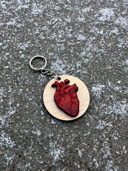 anatomical heart keychain